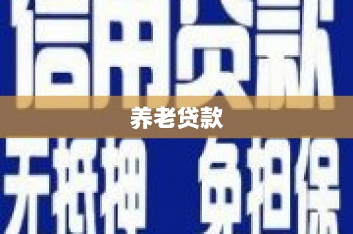 云龙养老贷款