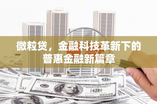 云龙微粒贷，金融科技革新下的普惠金融新篇章