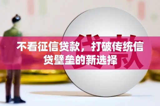 云龙不看征信贷款，打破传统信贷壁垒的新选择