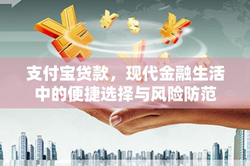 云龙支付宝贷款，现代金融生活中的便捷选择与风险防范