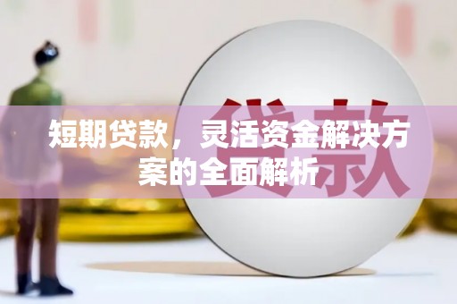 云龙短期贷款，灵活资金解决方案的全面解析