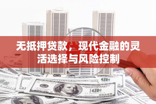 云龙无抵押贷款，现代金融的灵活选择与风险控制