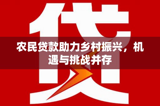 云龙农民贷款助力乡村振兴，机遇与挑战并存