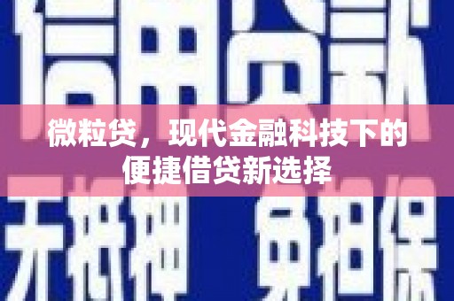云龙微粒贷，现代金融科技下的便捷借贷新选择