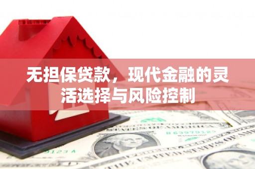 云龙无担保贷款，现代金融的灵活选择与风险控制