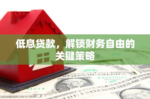 云龙低息贷款，解锁财务自由的关键策略