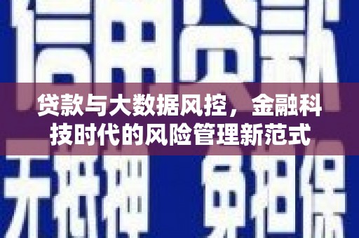 云龙贷款与大数据风控，金融科技时代的风险管理新范式