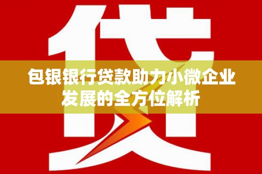 云龙包银银行贷款助力小微企业发展的全方位解析