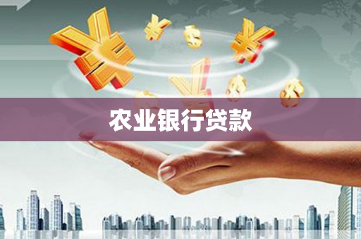 云龙农业银行贷款