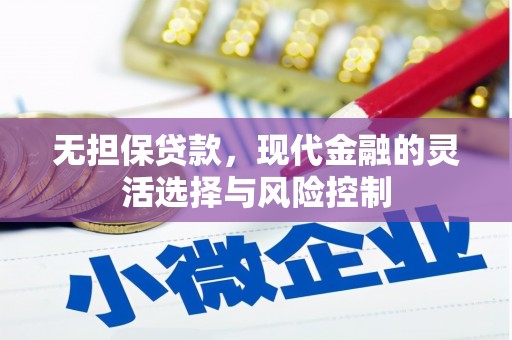 云龙无担保贷款，现代金融的灵活选择与风险控制