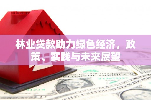 云龙林业贷款助力绿色经济，政策、实践与未来展望