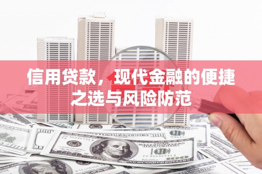 云龙信用贷款，现代金融的便捷之选与风险防范