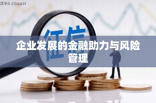 云龙企业发展的金融助力与风险管理