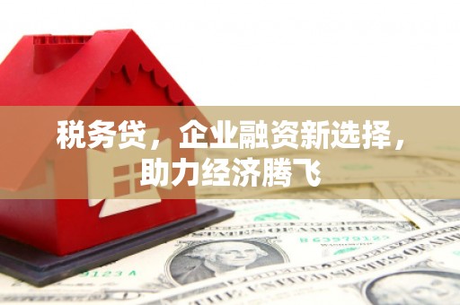 云龙税务贷，企业融资新选择，助力经济腾飞