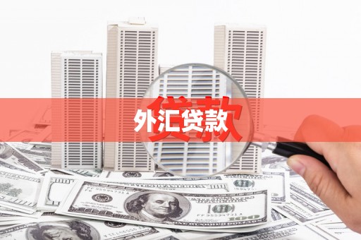 云龙外汇贷款