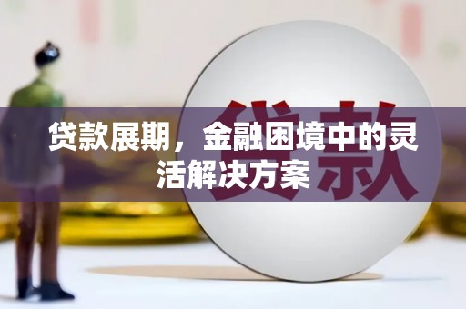 云龙贷款展期，金融困境中的灵活解决方案