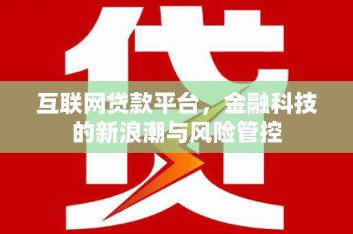 云龙互联网贷款平台，金融科技的新浪潮与风险管控
