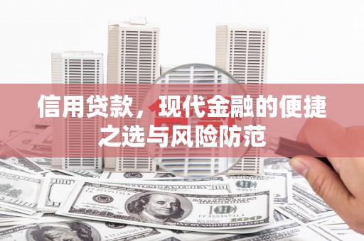 云龙信用贷款，现代金融的便捷之选与风险防范