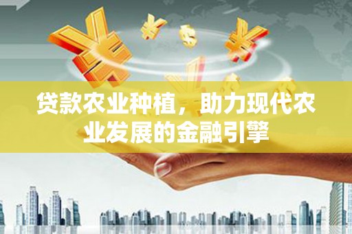 云龙贷款农业种植，助力现代农业发展的金融引擎