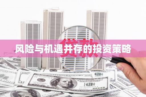 云龙风险与机遇并存的投资策略