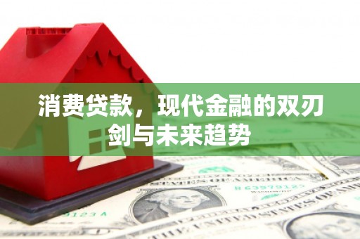 云龙消费贷款，现代金融的双刃剑与未来趋势