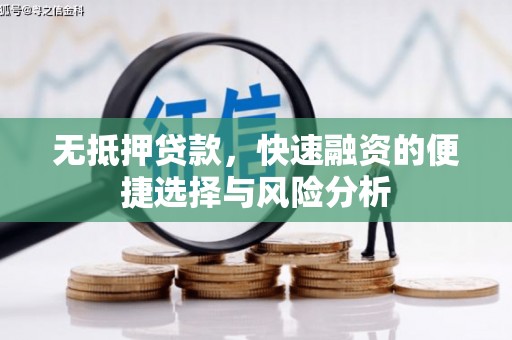 云龙无抵押贷款，快速融资的便捷选择与风险分析