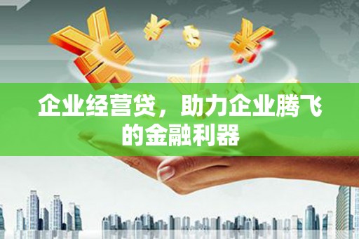 云龙企业经营贷，助力企业腾飞的金融利器