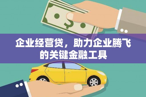 云龙企业经营贷，助力企业腾飞的关键金融工具