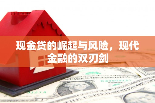 云龙现金贷的崛起与风险，现代金融的双刃剑