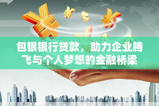 云龙包银银行贷款，助力企业腾飞与个人梦想的金融桥梁