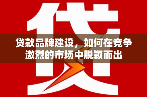 云龙贷款品牌建设，如何在竞争激烈的市场中脱颖而出