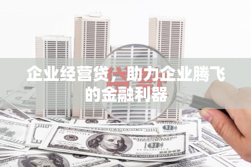 云龙企业经营贷，助力企业腾飞的金融利器