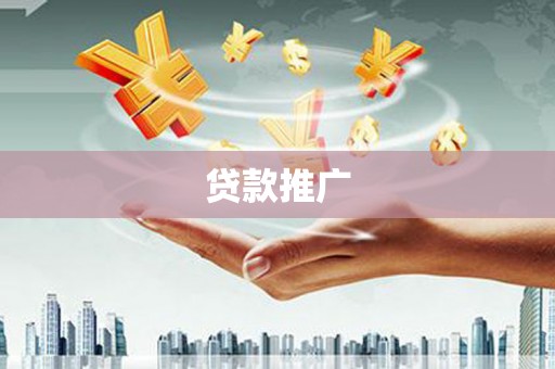 云龙贷款推广