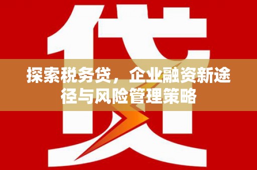云龙探索税务贷，企业融资新途径与风险管理策略