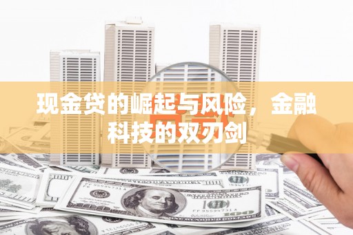 云龙现金贷的崛起与风险，金融科技的双刃剑