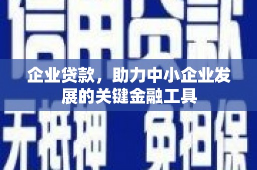 云龙企业贷款，助力中小企业发展的关键金融工具