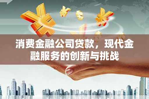 云龙消费金融公司贷款，现代金融服务的创新与挑战