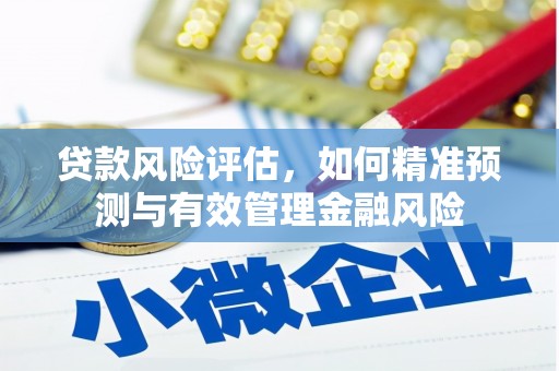 云龙贷款风险评估，如何精准预测与有效管理金融风险