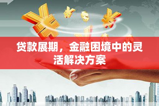 云龙贷款展期，金融困境中的灵活解决方案