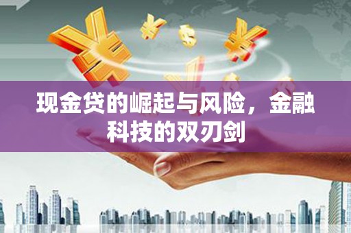 云龙现金贷的崛起与风险，金融科技的双刃剑