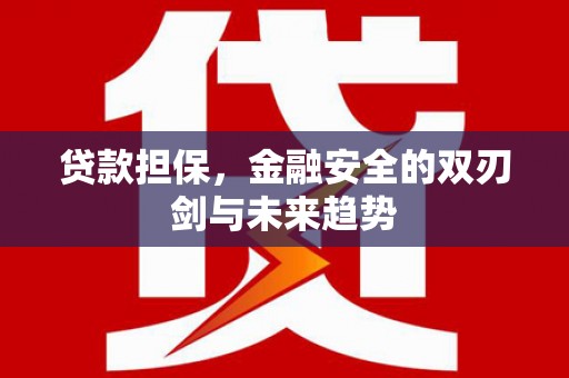 云龙贷款担保，金融安全的双刃剑与未来趋势