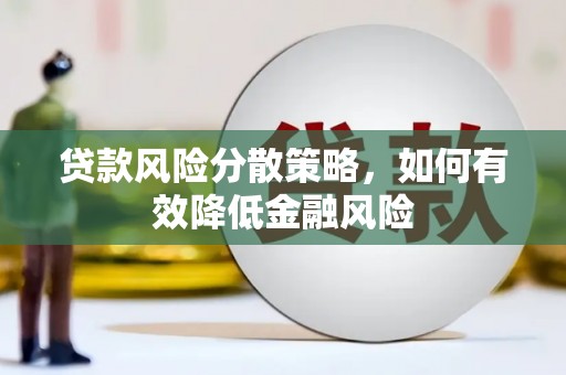 云龙贷款风险分散策略，如何有效降低金融风险