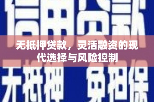 云龙无抵押贷款，灵活融资的现代选择与风险控制