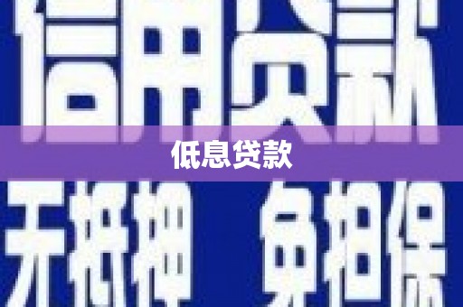 云龙低息贷款
