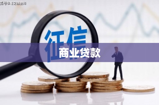 云龙商业贷款