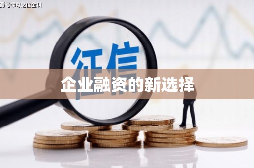 云龙企业融资的新选择