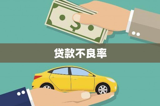 云龙贷款不良率