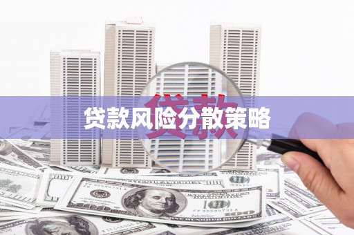 云龙贷款风险分散策略