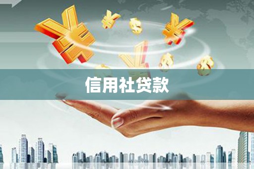 云龙信用社贷款