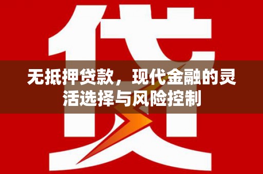云龙无抵押贷款，现代金融的灵活选择与风险控制